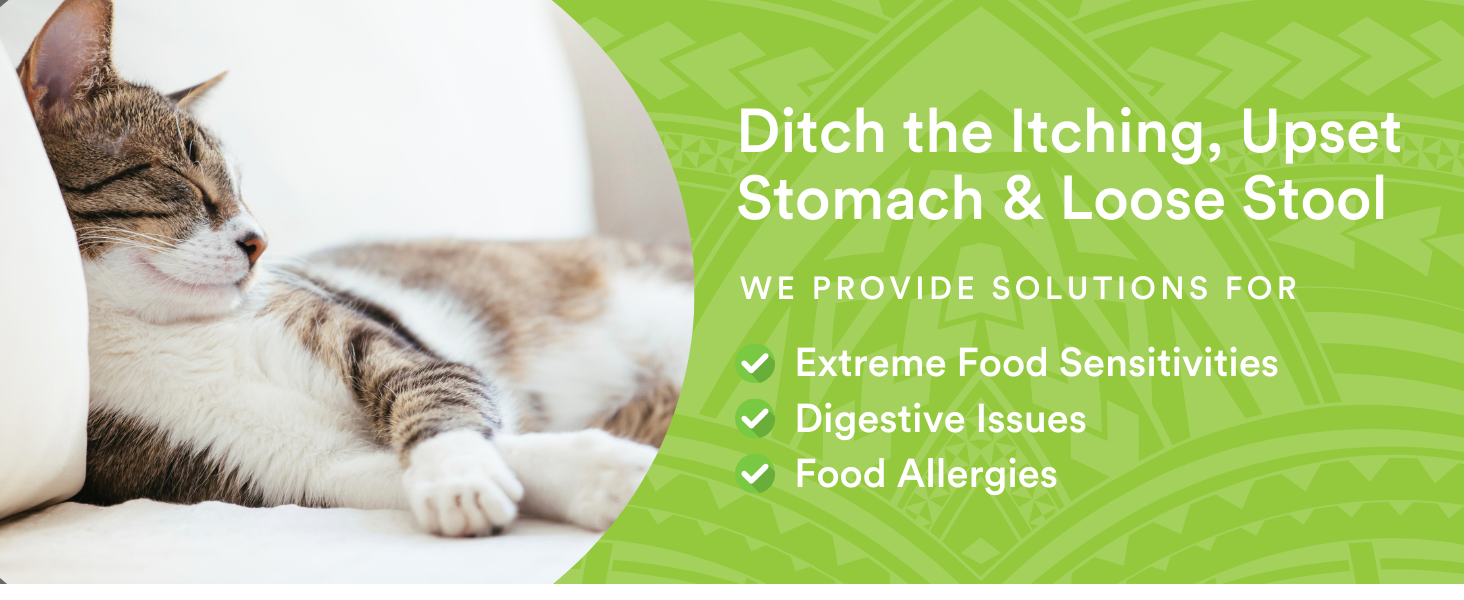 Healthy Cat Food Grain free Human-Grade Allergy Sensitivity Chicken Pork Turkey Protein Holistic