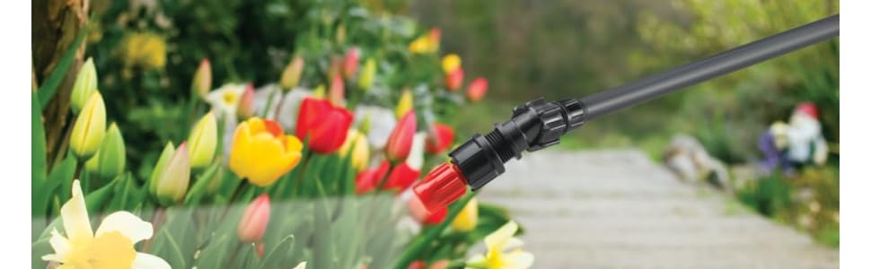 aplus content image