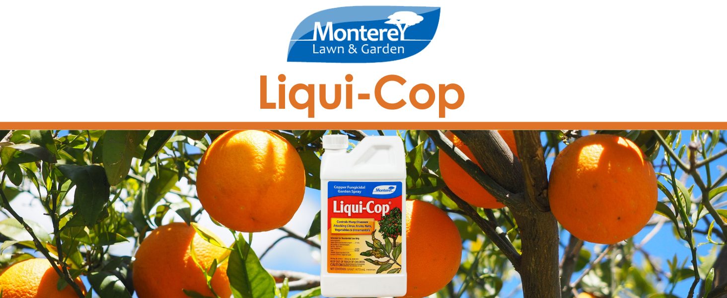 Liqui-Cop 1