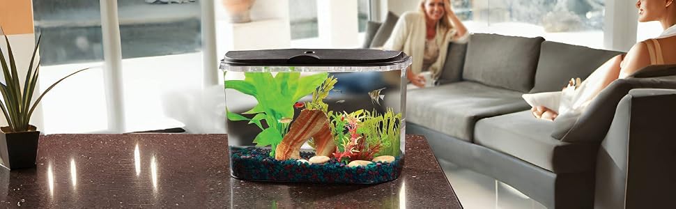 5 gallon