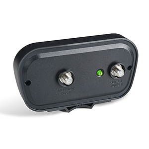 AMP1