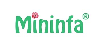 Mininfa