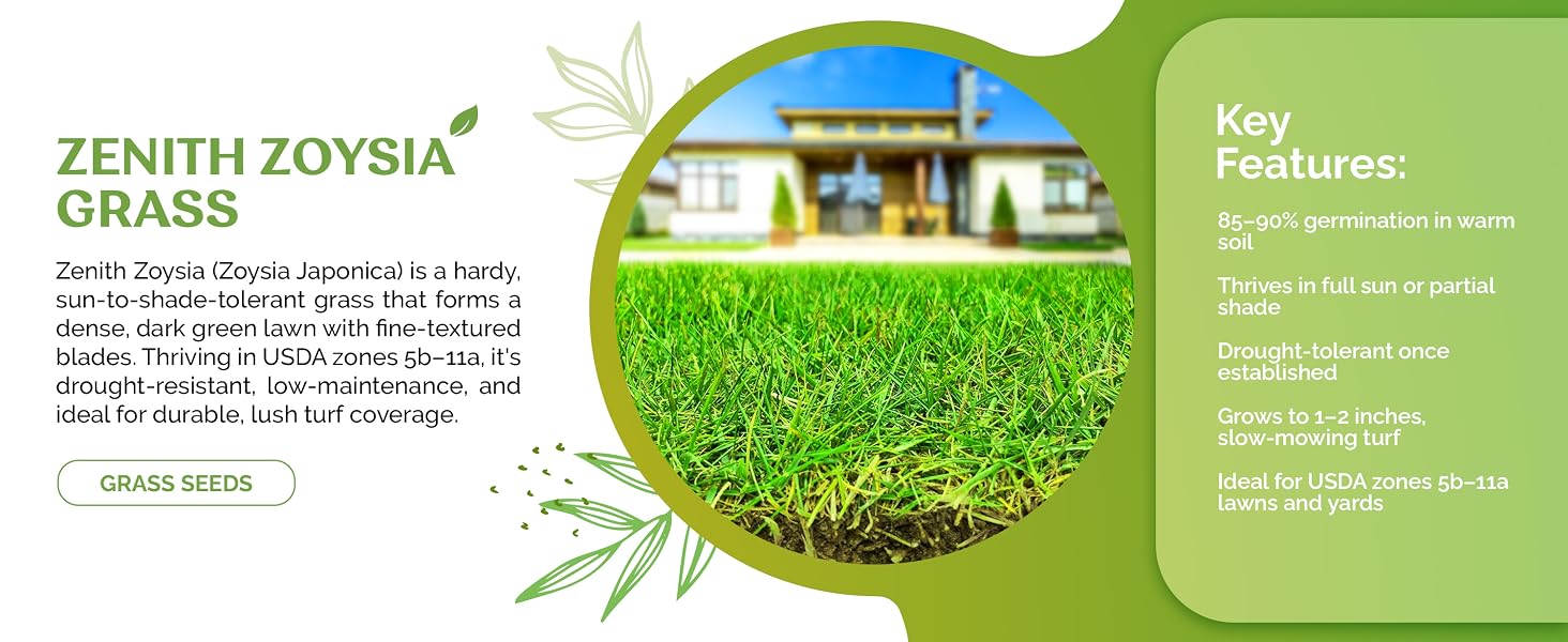 #180 14 Lb Zenith Zoysia (Zoysia Japonica) Grass seeds_2