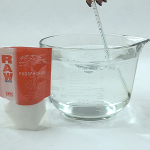 RAW Phosphorus