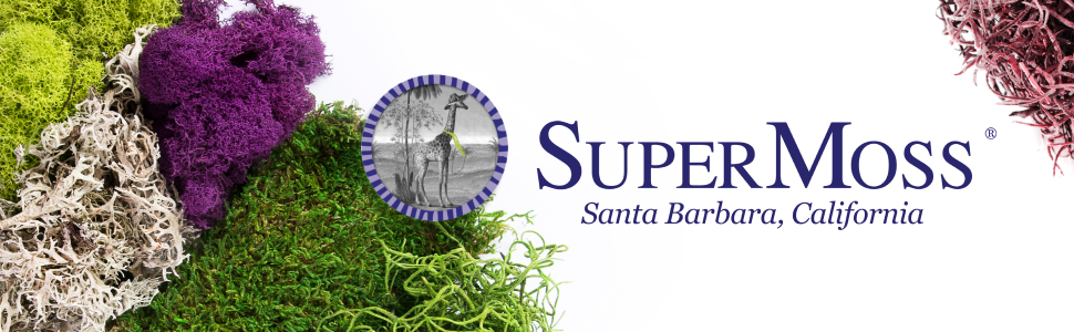 SuperMoss, Santa Barbara, California