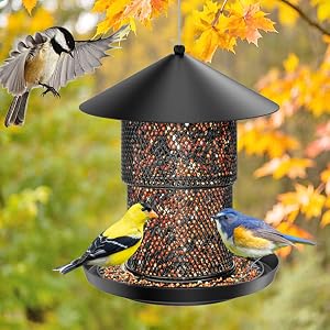 Bird Feeder for Outdoor Hanging