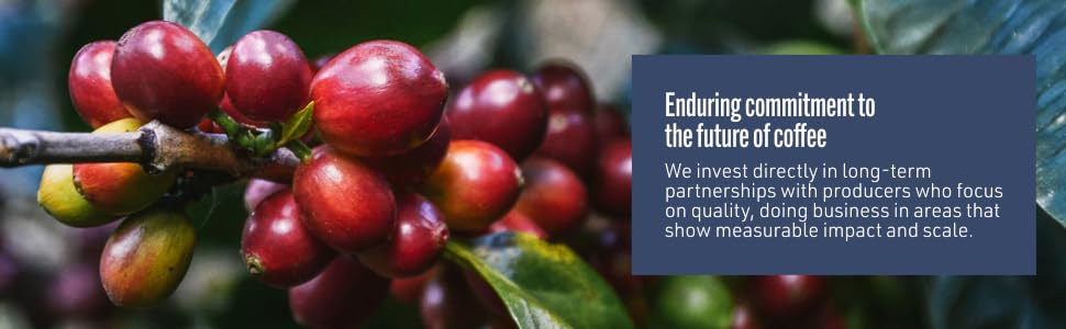 Partnerships