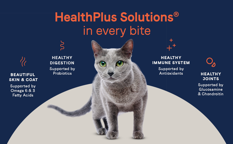 HealthPlusSolutions