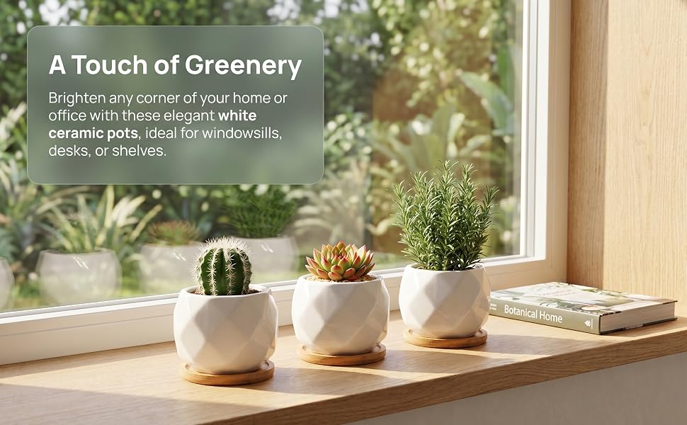 Succulent Planter Pot