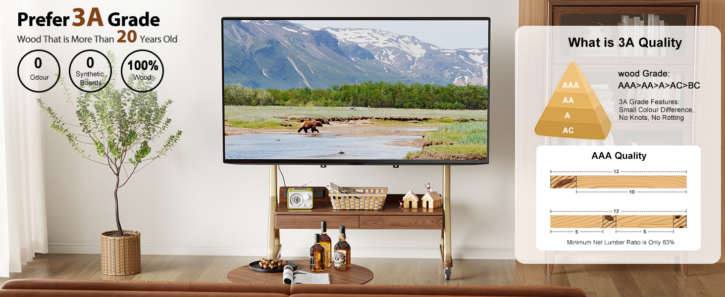 mobile tv stand on wheels