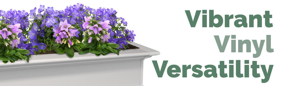 yorkshire windowbox collection header