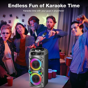 party speaker