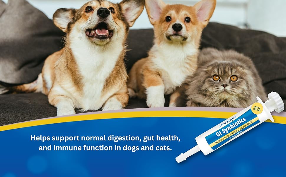 Two corgis and a cat with Doc Roy’s GI Synbiotics gel for digestive and immune support