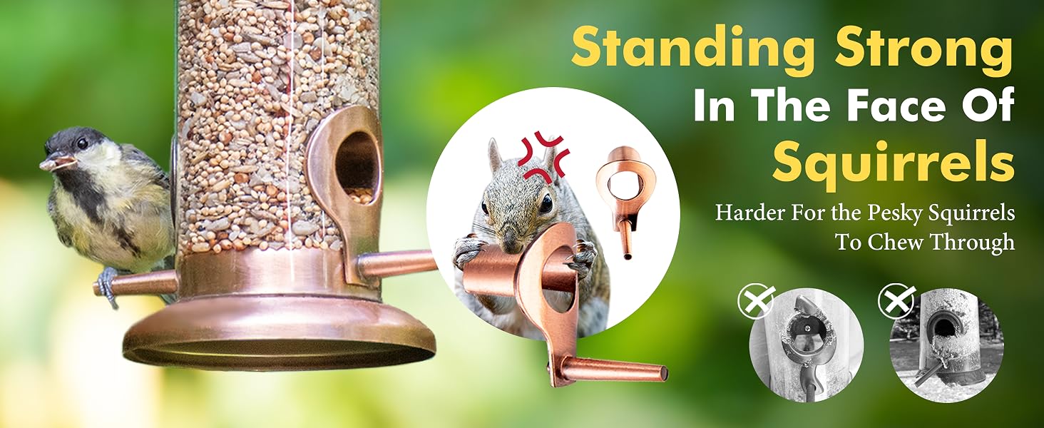 BIRD FEEDER