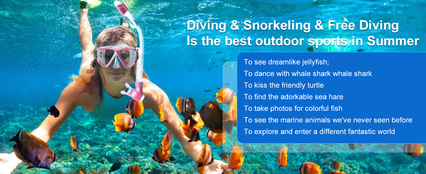 Snorkel Set,Snorkel Dry Top Snorkeling Gear for Adults, Panoramic Adults Snorkeling Set