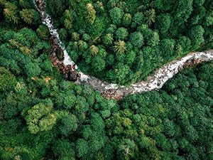The Sustainable Way