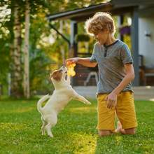 pet safe
