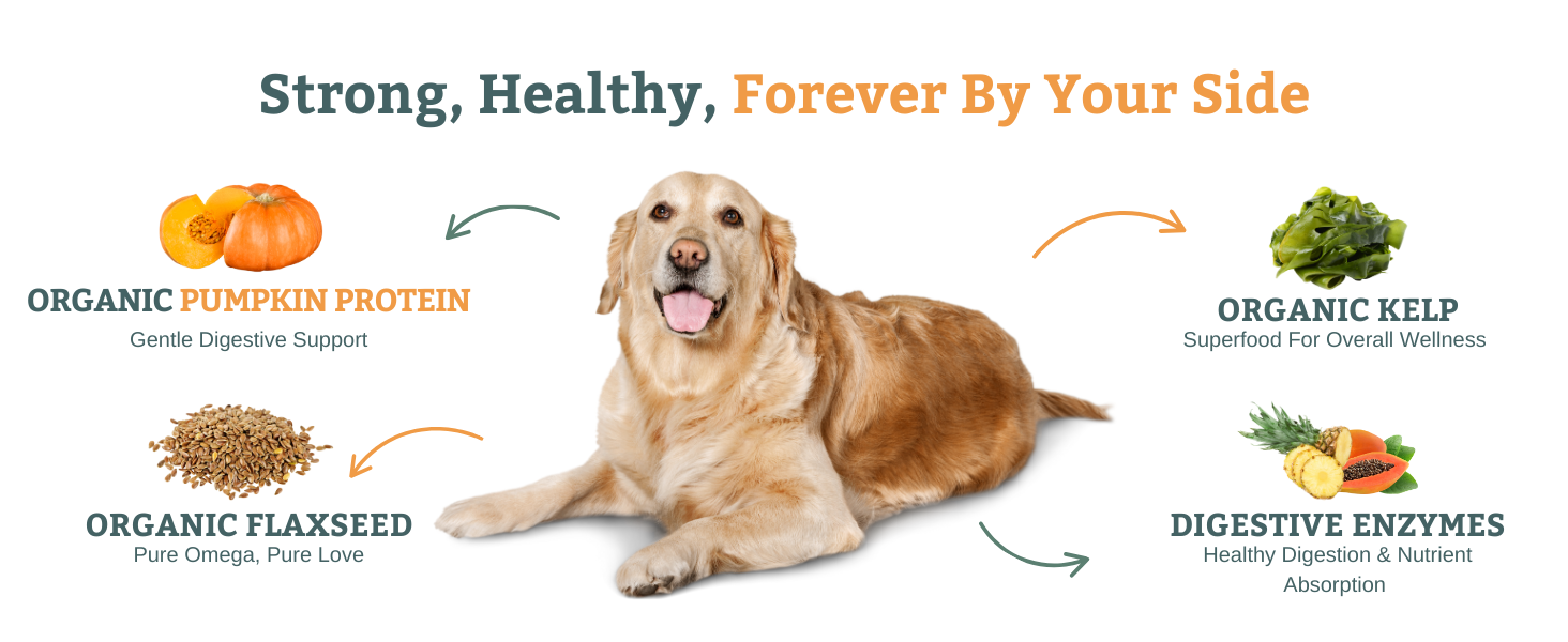 Lifelong Health Benefits