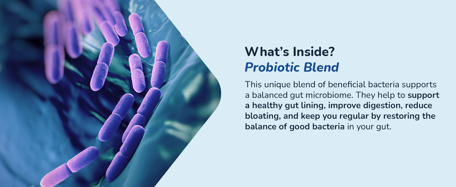 healthygut probiotics for digestive health gut men supplements pro biotics