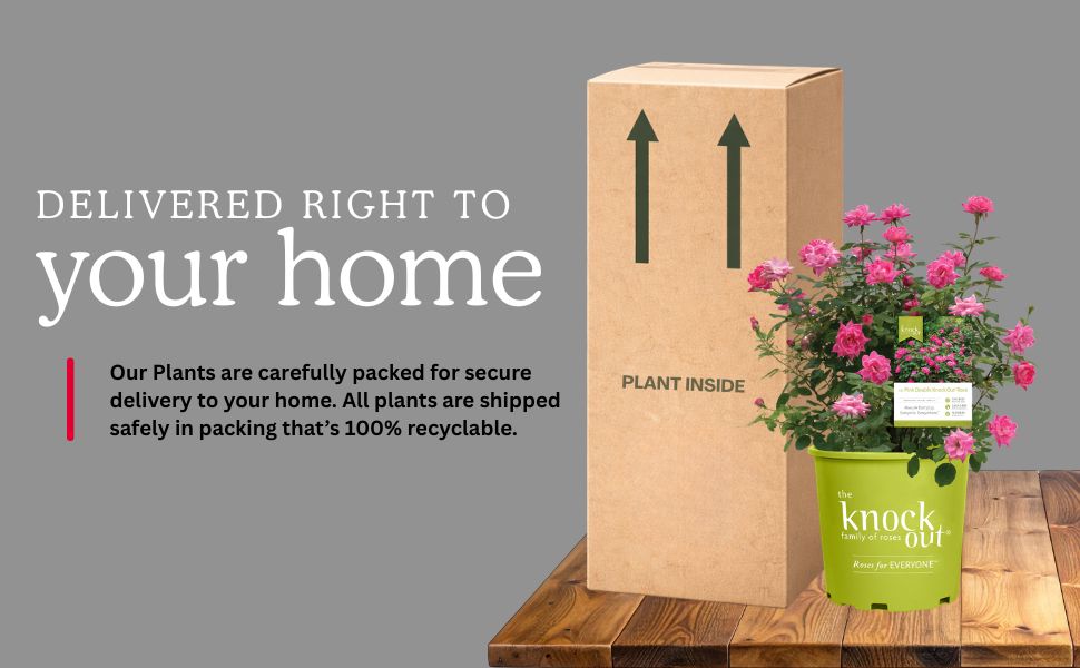 Delivered to your home