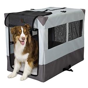 Sportable with Dog