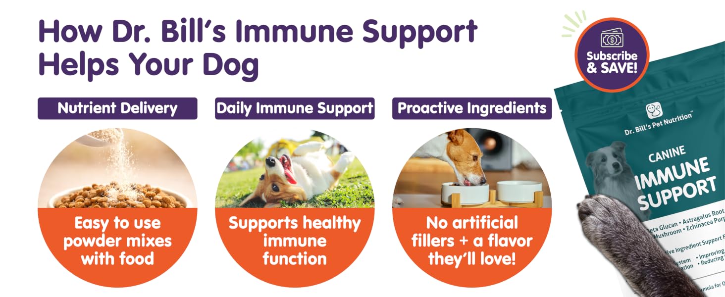 mushroom ivdd defense chews for dogs,multivitamin for dogs,senior dog multivitamin,vitamins for dogs