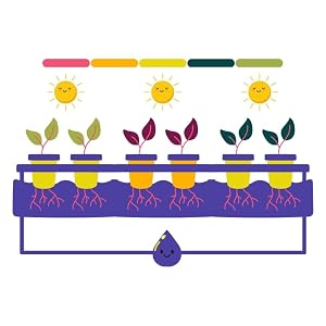 hydroponics fertilizer
