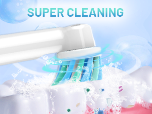 Replacement Toothbrush Heads