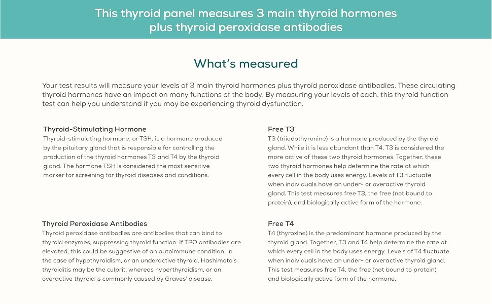 thyroid-everlywell