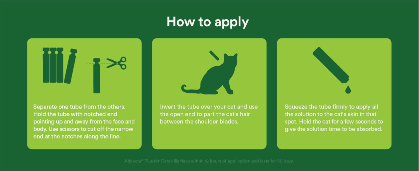 How to apply flea topical medicine for cats