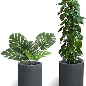 outdoor concrete planter pot