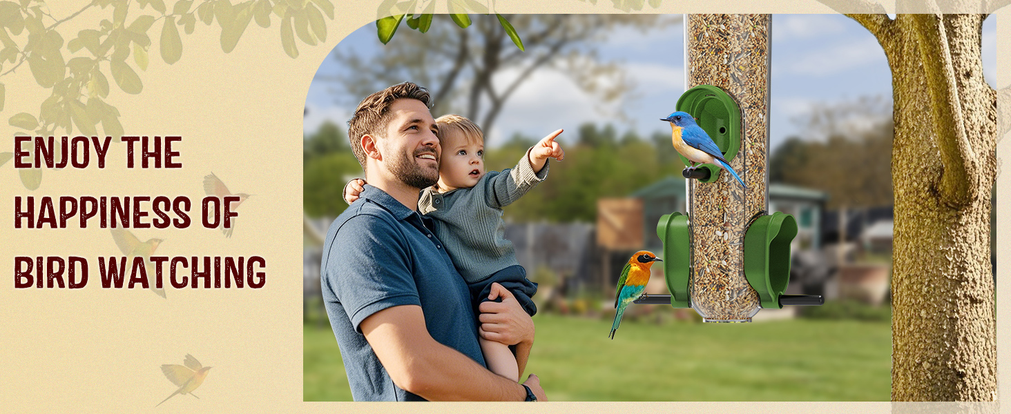 wild bird feeders
