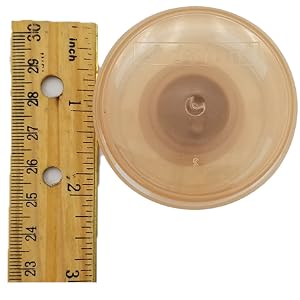advion ant bait station measured