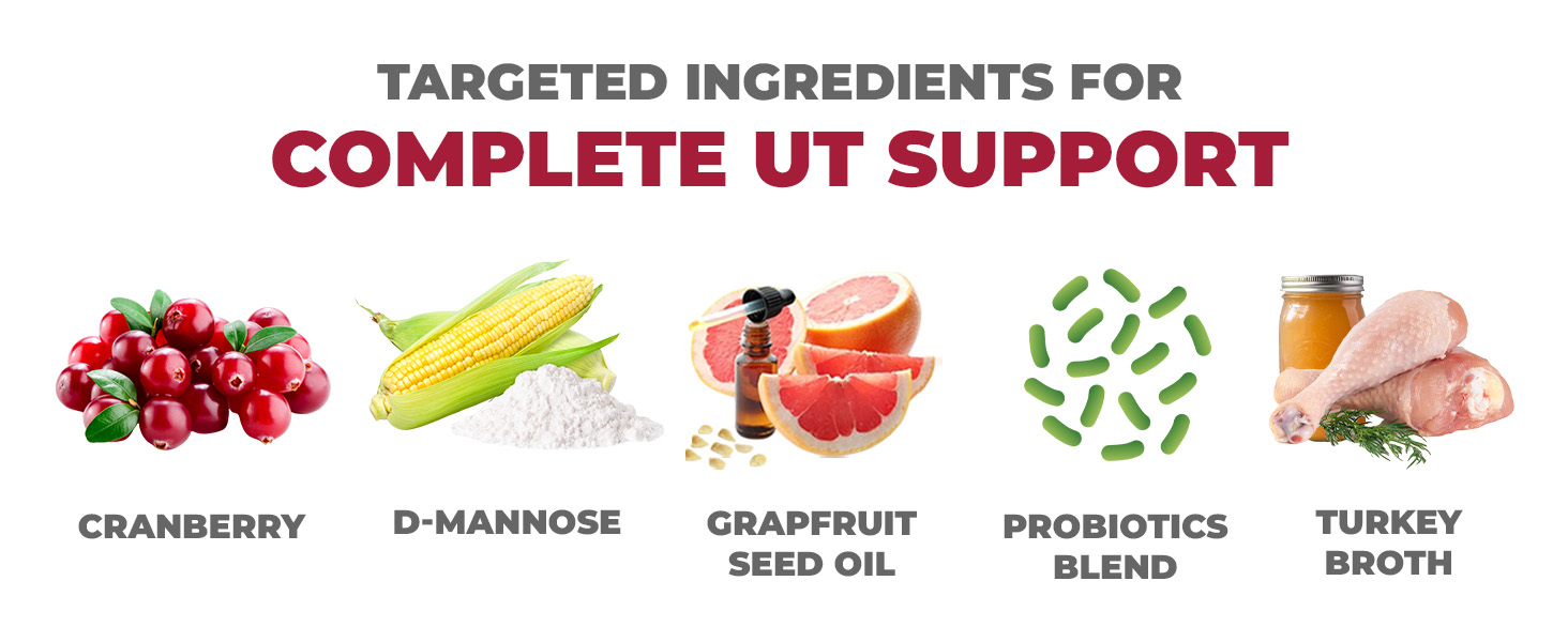 dog UTI treatment, urinary tract support, uti medicine for dogs, urinary tract infection treatment