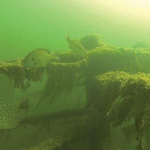 porcupine fish attractor, fish structure for ponds, fish habitat, mossback, artificial fish habitat