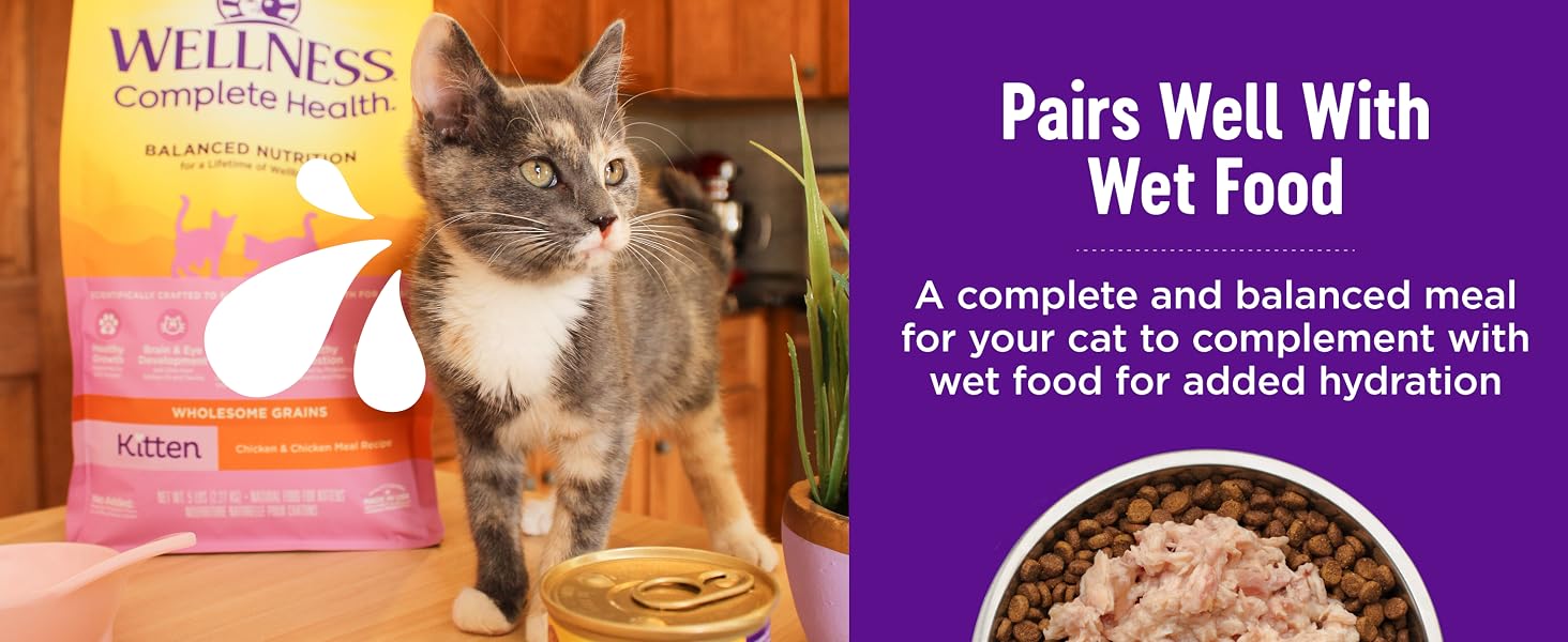 Pairs well with wet food