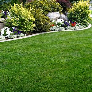 fertilizer for starting new lawns, flowers, trees and shrubs