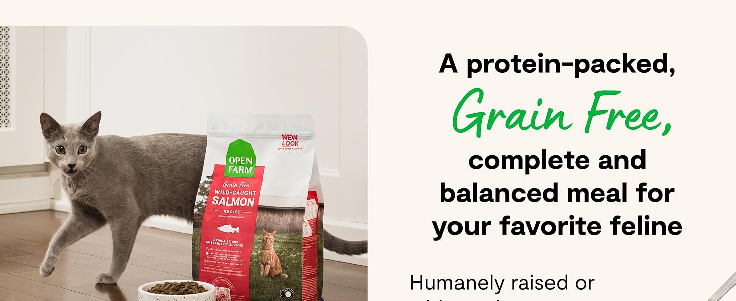 Grain Free Dry Cat Food High Protein Kibble Complete &amp;amp; Balanced Diet