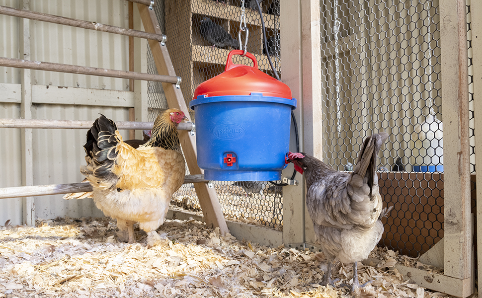 heated poultry waterer premier