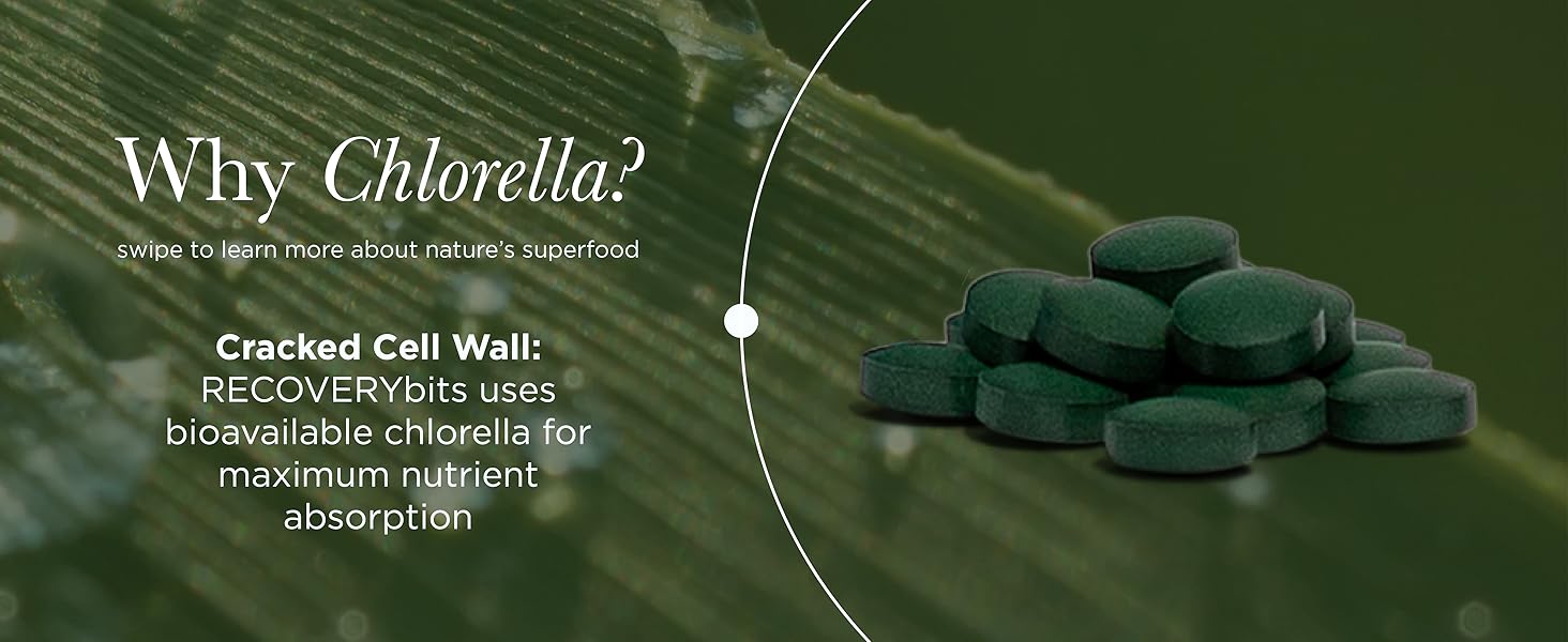 chlorella 2