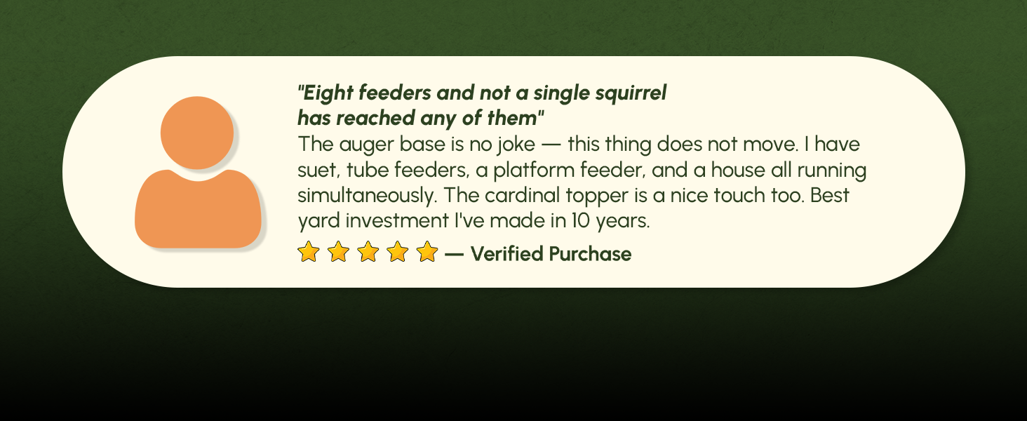 Eight feeders. All the birds. The squirrels finally give up.