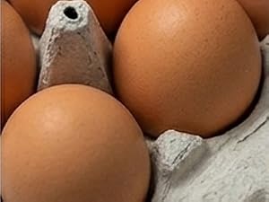 close up of jumbo eggs in the carton