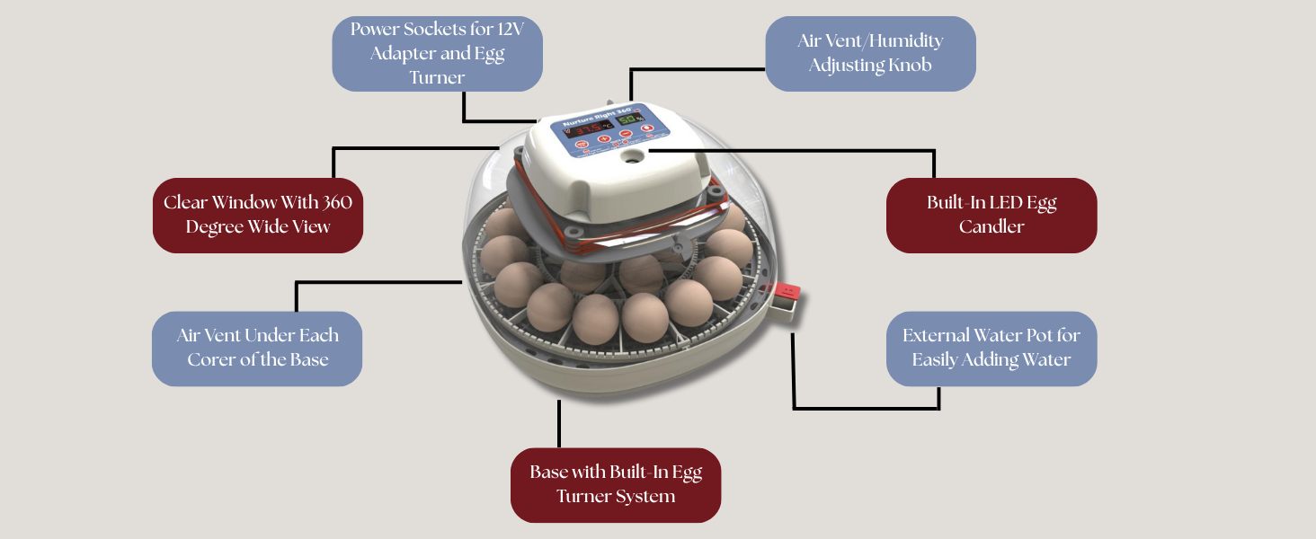INCUBATOR HOW TO