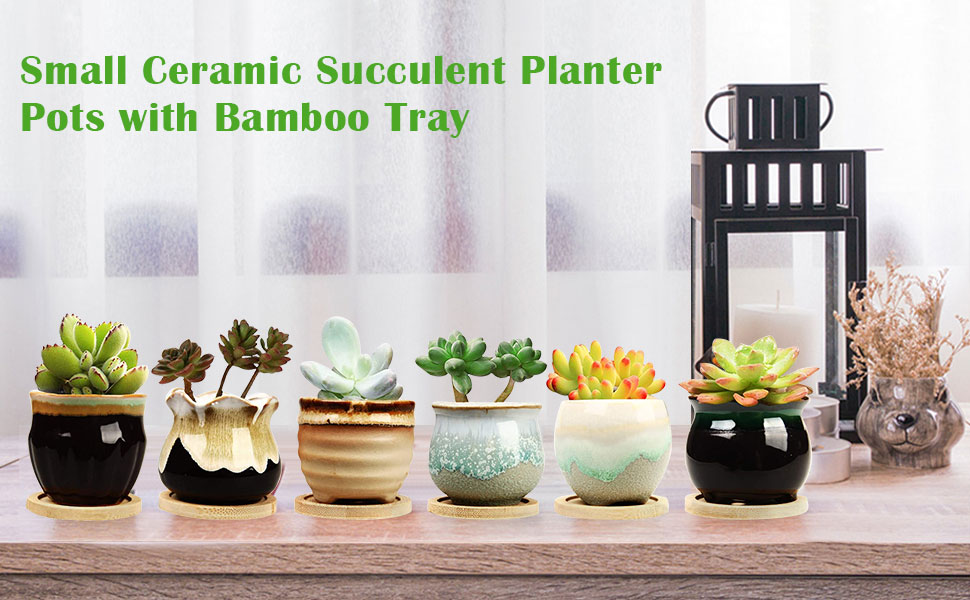 ceramic succulent pots