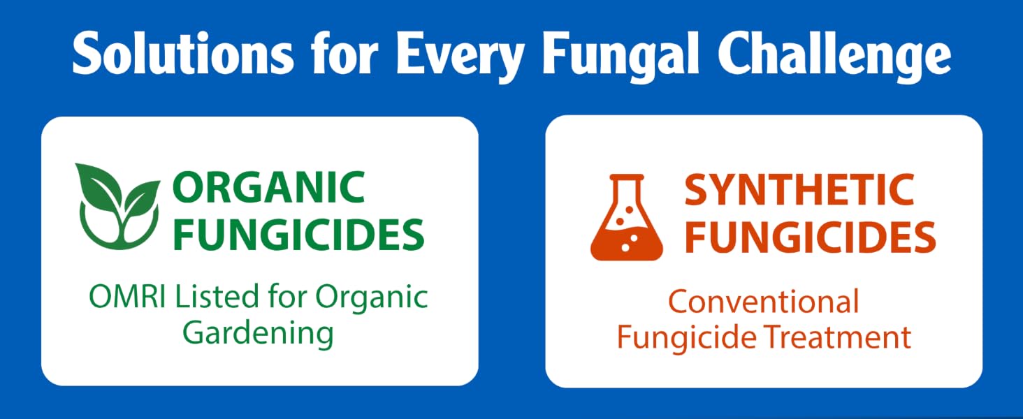 Solutions for Every Fungal Challenge