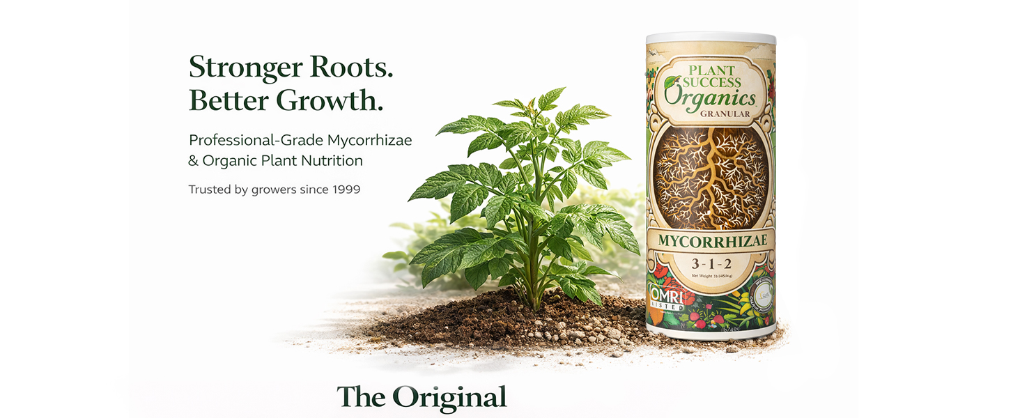 Plant Success Mycorrhizal Fungi