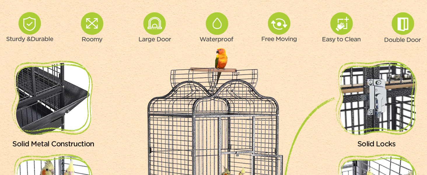 bird cage