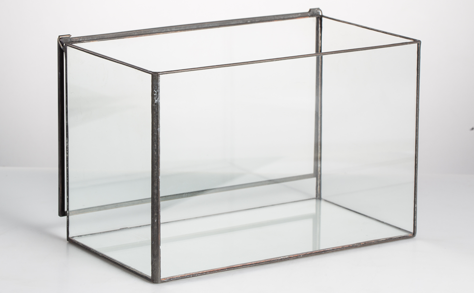 Rectangle Clear Glass Geometric Terrarium
