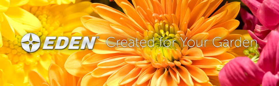 Flower Garden