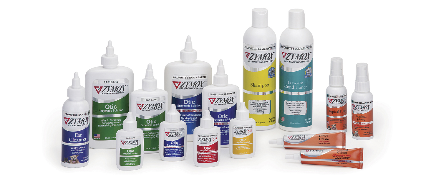 ear infection treatment for dogs